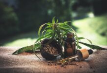 CBD que faut-il retenir