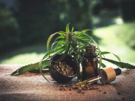 CBD que faut-il retenir